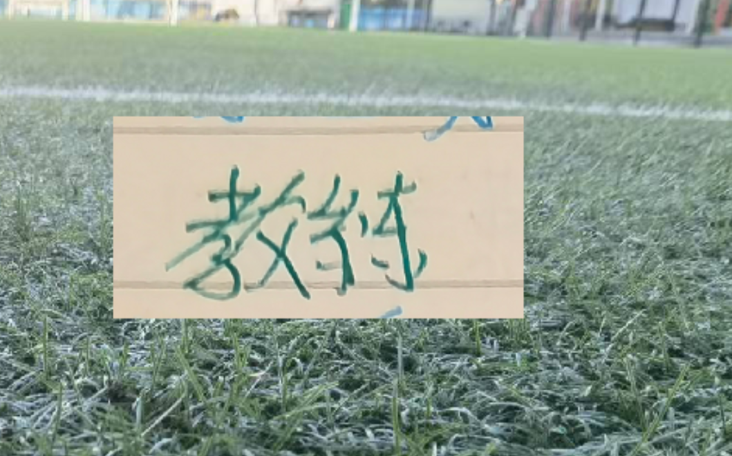 kaiyun体育官方-2025赛季北京国安的塞蒂恩+拉米罗 算是成功的吗？